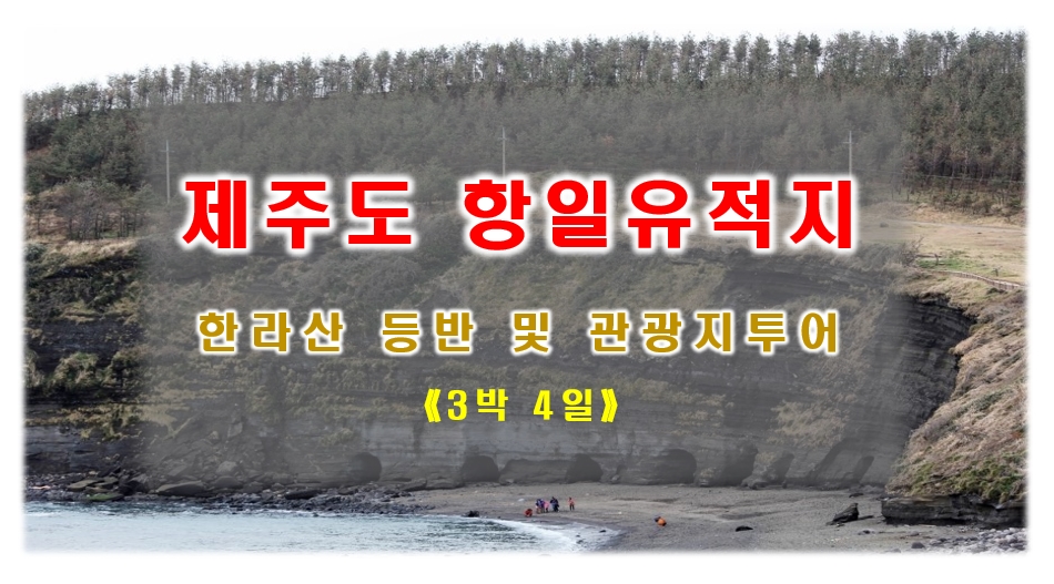 1e28bfc54fe9544344583cbcc661d1f6_1609226