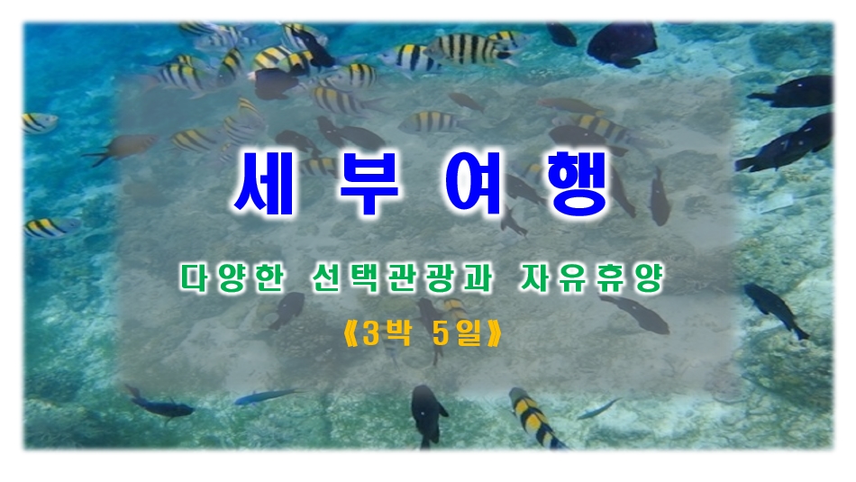 9112eab84d3a373961f8a416152bdfc8_1612336960_1084.jpg 9112eab84d3a373961f8a416152bdfc8_1612336
