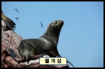 【 중 남 미 】역사 유적지 및 대표 관광지 완전정복 코스《 16박 18일 》