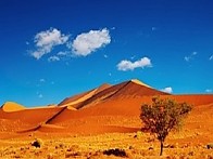 【 나미브사막 투어 】 남아프리카 이색 코스 완전일주   《 11박 13일 》
