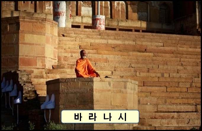 【 인 도 】 불교 성지순례