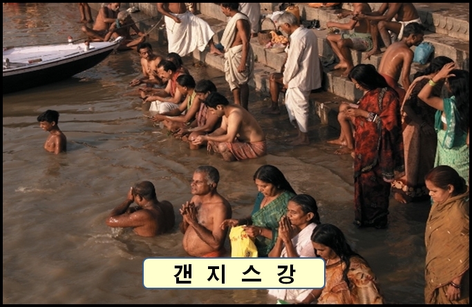 【 인 도 】 불교 성지순례