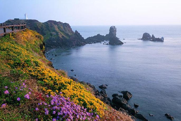 【 영 광 / 제 주  】  《 불교 성지순례 》 + 제주도 대표 관광지 투어