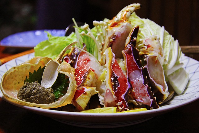 [ 일 본 ] 삿포로 눈축제