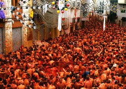 [ 스페인 ]  라 토마티나