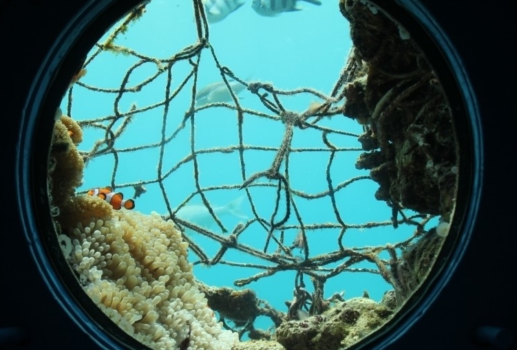 『 장애 / 노약자 』 추천 코스 【 오 키 나 와 】  장애 / 노약자 투어를 위한 인프라 구축 《 3박 4일 》