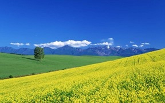 【 훗 카 이 도 】 《 일 본 》