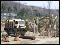 테마동물원 쥬쥬 (고양)