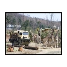 테마동물원 쥬쥬 (고양)
