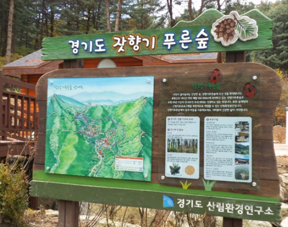 《 가 평 》으로 떠나는 당일치기 힐링여행