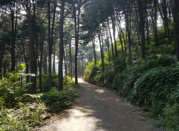 《 가 평 》으로 떠나는 당일치기 힐링여행