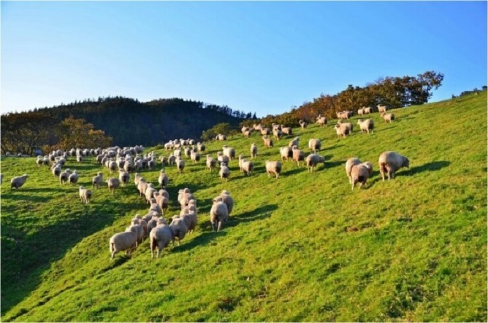 〔 설악산 국립공원 〕 및 〔  강 원 도 〕 일대 핵심 관광지 투어 + 고성 안보탐방 병행 《 2박 3일 》
