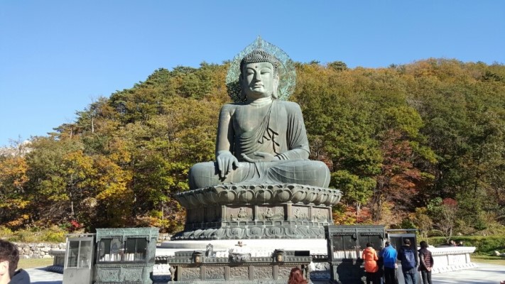 〔 설악산 국립공원 〕 및 〔  강 원 도 〕 일대 핵심 관광지 투어 + 고성 안보탐방 병행 《 2박 3일 》