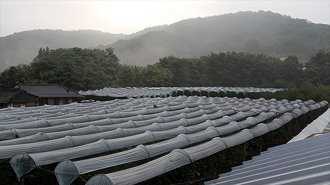 【 경 주 / 영 천 / 부 산 】  익사이팅 체험 관광  《 1박 2일 》
