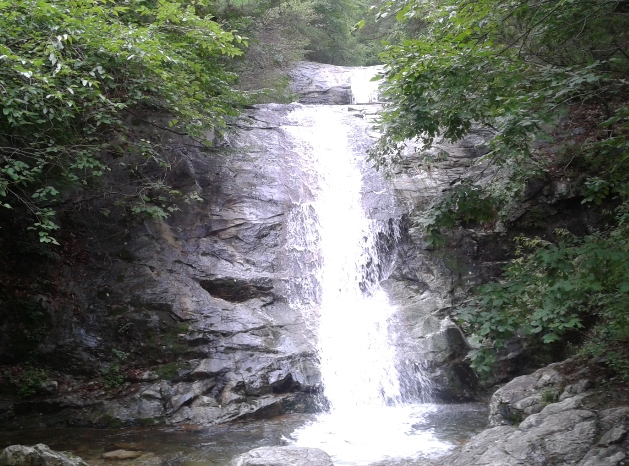 《 충주 》  '힐링' or '문화유적' 두가지 테마여행