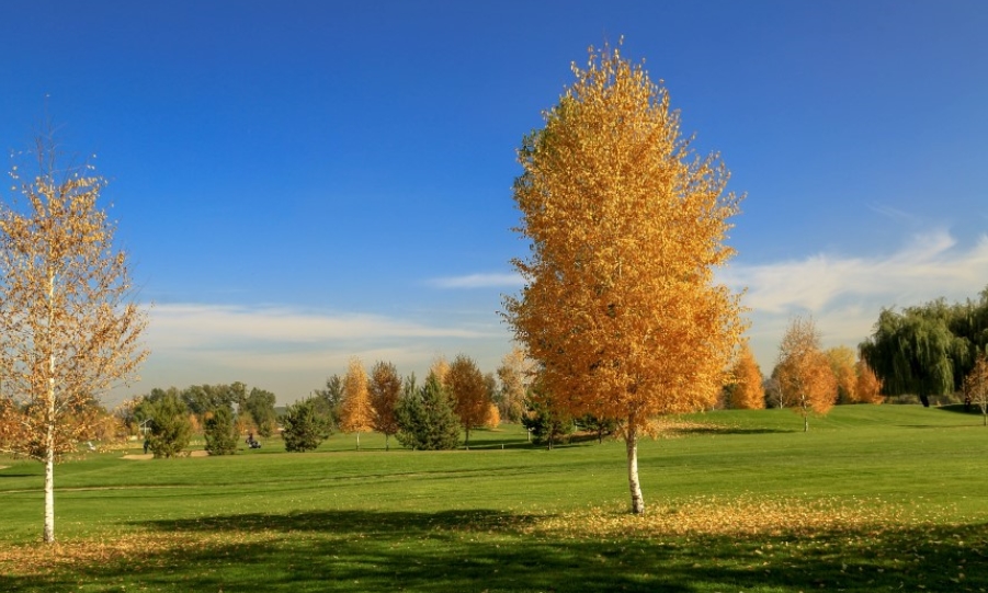 【 카자흐스탄 】  『 골프 투어 』 매일 18홀  +  알마티 투어  《 3박 5일 》