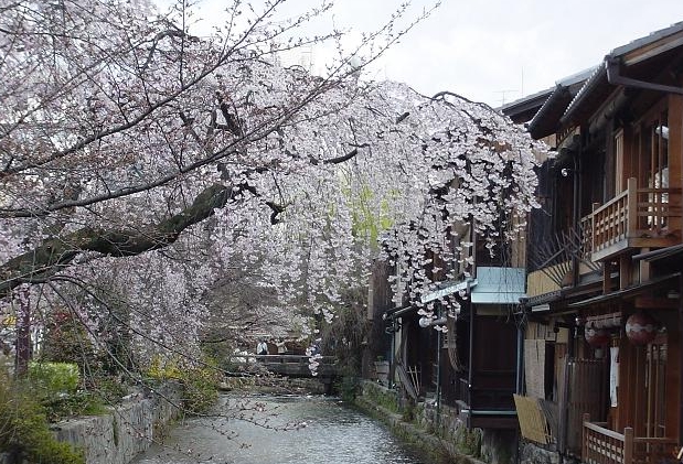 [ 휠체어 투어 ]  『 오사카 / 교토 / 나라 』 ｛휠체어로도 투어 가능한 코스 구성｝《 2박 3일 》