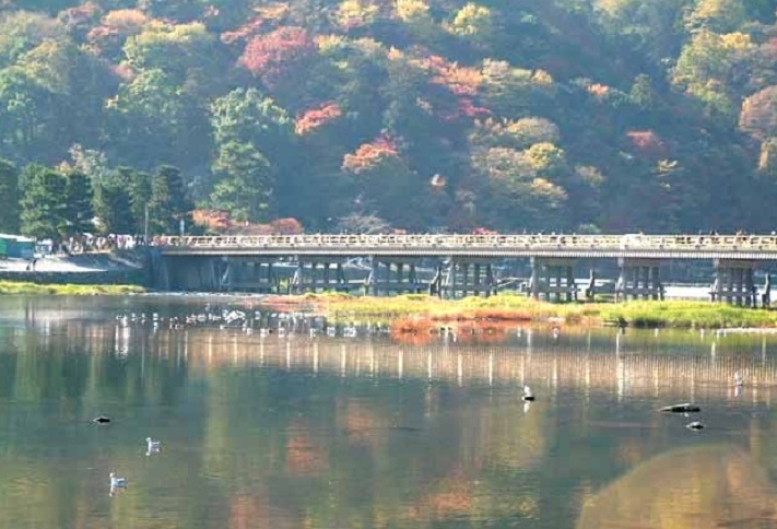 [ 휠체어 투어 ]  『 오사카 / 교토 / 나라 』 ｛휠체어로도 투어 가능한 코스 구성｝《 2박 3일 》