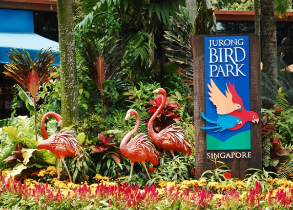 【 싱 가 포 르 】 유니버셜 스튜디오 / 센토사섬    『 장애우를 위한 최적예 인프라 구축 』 《 3박 5일 》