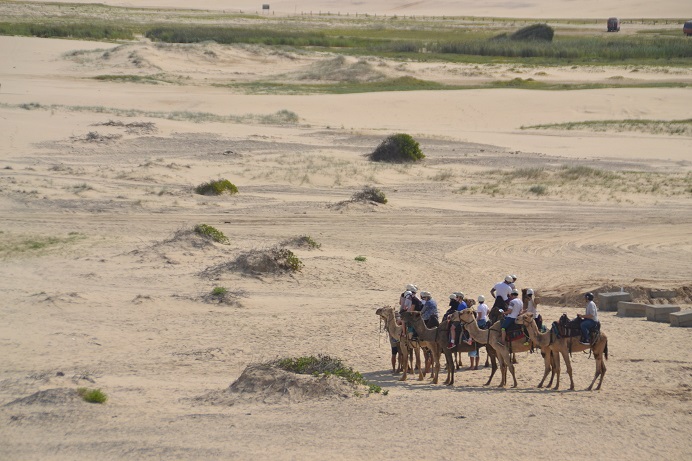 【 호 주 】 완전 일주 (배리어프리 일정 선택형) 『 브리즈번 / 골드코스트 / 멜버른 / 시드니 등 』