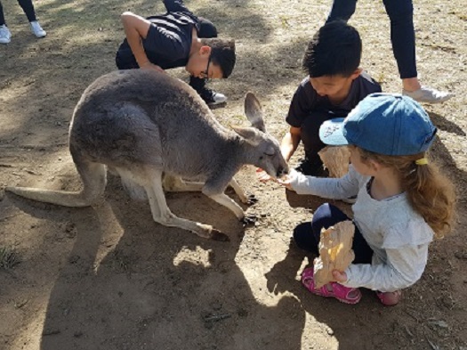 【 호 주 】 완전 일주 (배리어프리 일정 선택형) 『 브리즈번 / 골드코스트 / 멜버른 / 시드니 등 』