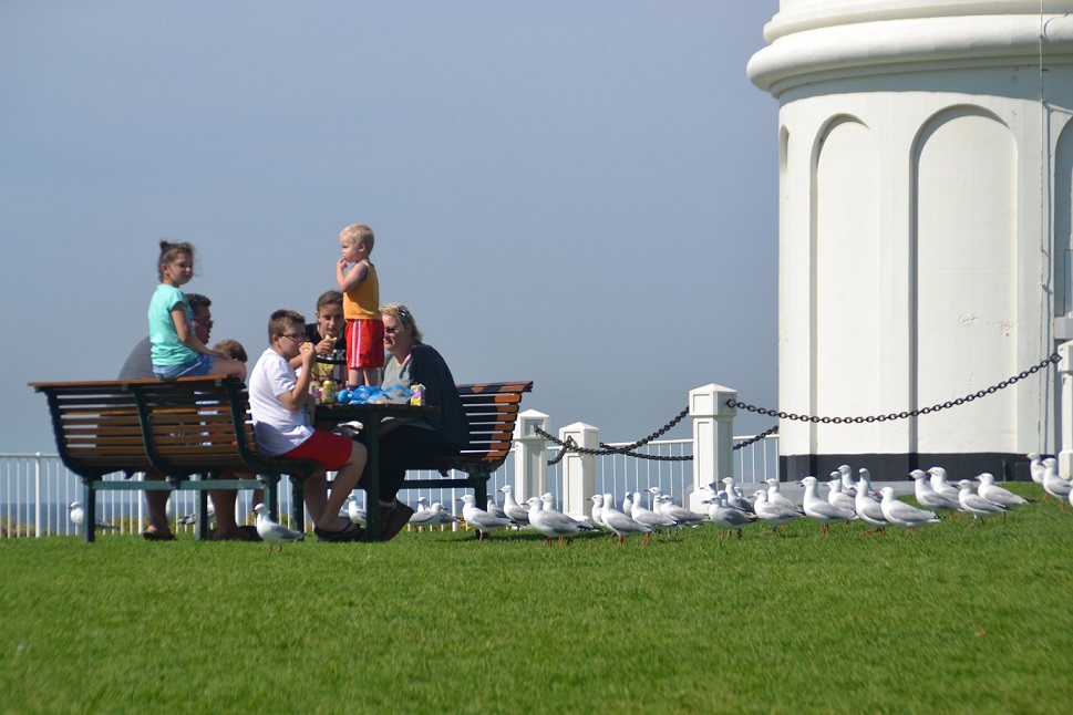 【 호 주 】 완전 일주 (배리어프리 일정 선택형) 『 브리즈번 / 골드코스트 / 멜버른 / 시드니 등 』