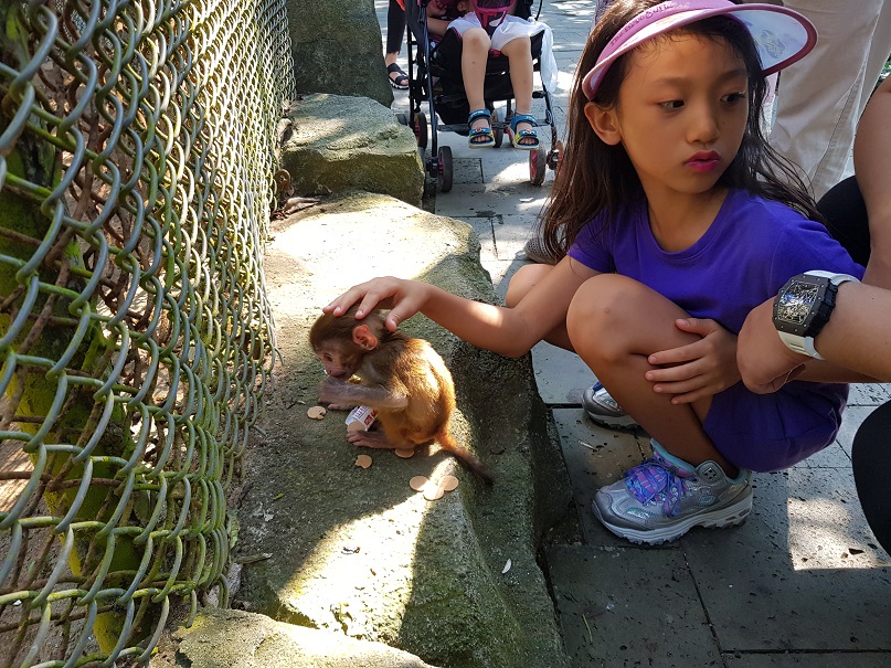 동양의 하와이 【 하 이 난 】 장애인 / 노약자 투어 『  편안한 힐링 휴식여행 / 휠체어 투어 가능  』