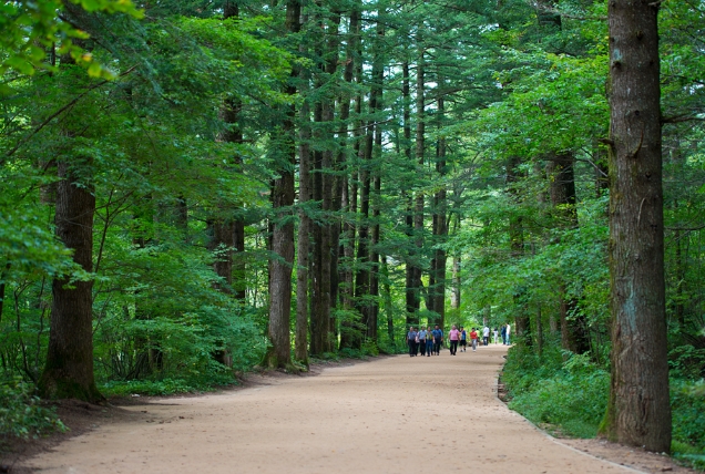 【 평 창 / 양 평 / 춘 천 】 (장애인/노약자 상품, 휠체어 투어 가능 코스)  《 2박 3일 》