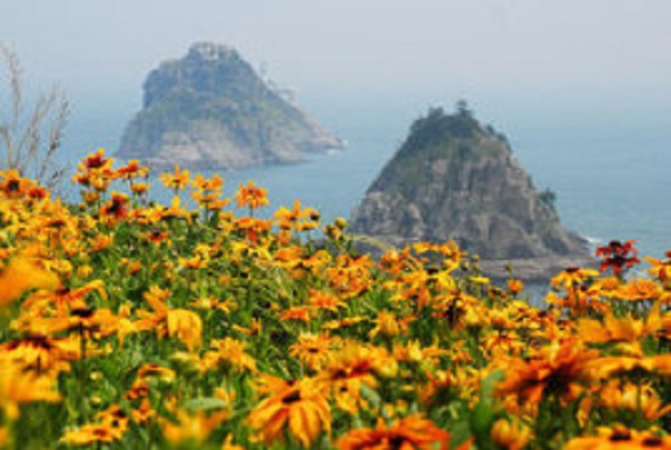 바다의 도시, 다이나믹 투어 【  부 산 】 일주 《 2박 3일 》