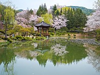 【 경 주 】 역사 + 문화체험 (장애인 / 노약자 상품, 휠체어 투어 가능 코스) 《 2박 3일 》