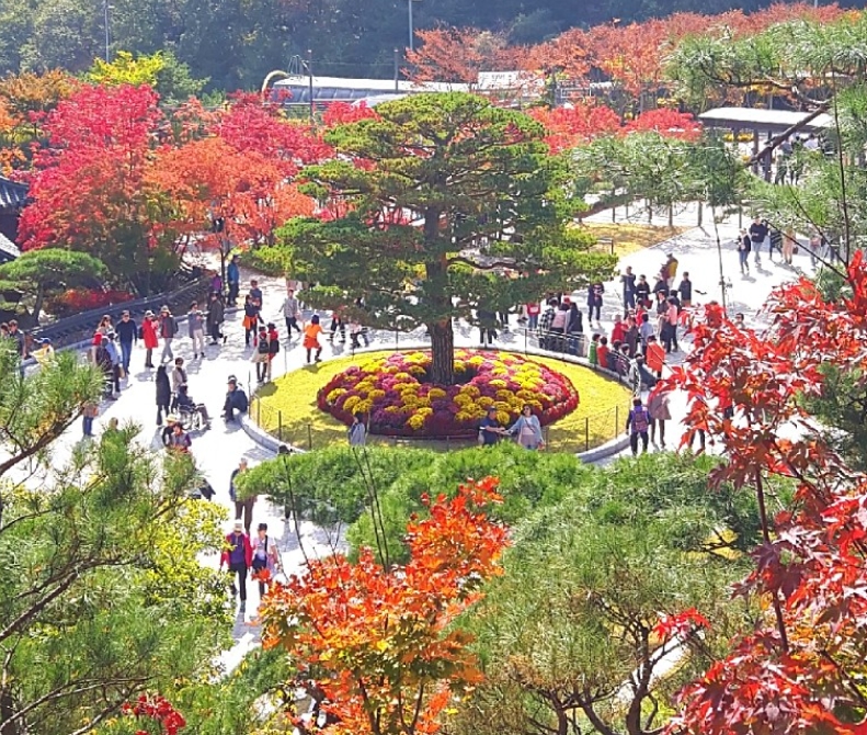 【 서 울 / 경기도 】  당일 여행지 모음  (장애인 / 노약자 상품, 휠체어 투어 가능 코스)