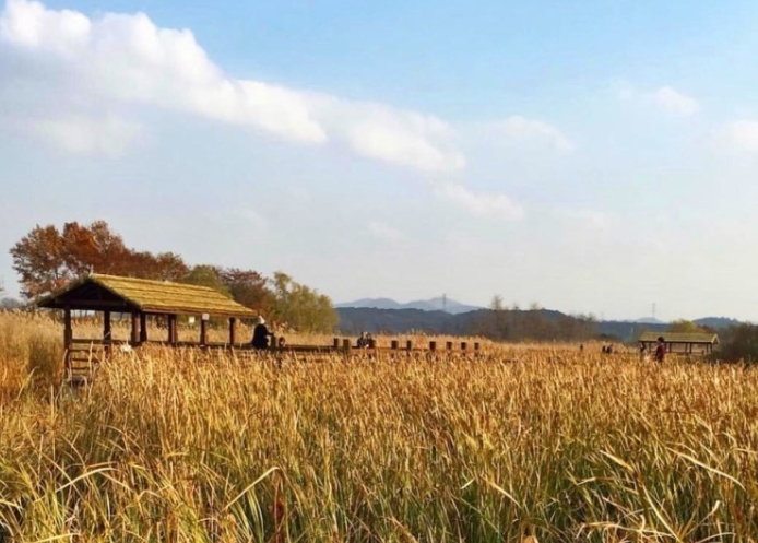 【 서 울 / 경기도 】  당일 여행지 모음  (장애인 / 노약자 상품, 휠체어 투어 가능 코스)