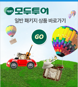일반 패키지 상품 바로가기